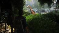 Ecco un altro momento iconico... l'incontro con una giraffa.
